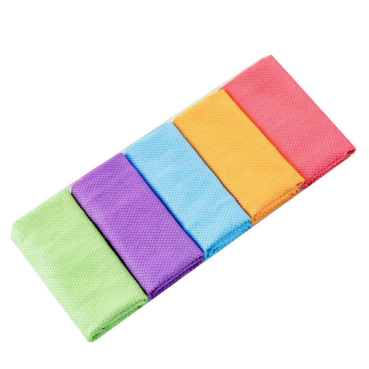 Homeclean Nanoscale Reusable Cloths (x5)