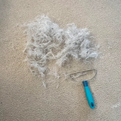 Homeclean Hair Today. Gone Tomorrow Bundle (Free Mini™)