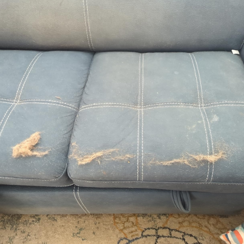 Homeclean Hair Today. Gone Tomorrow Bundle (Free Mini™)