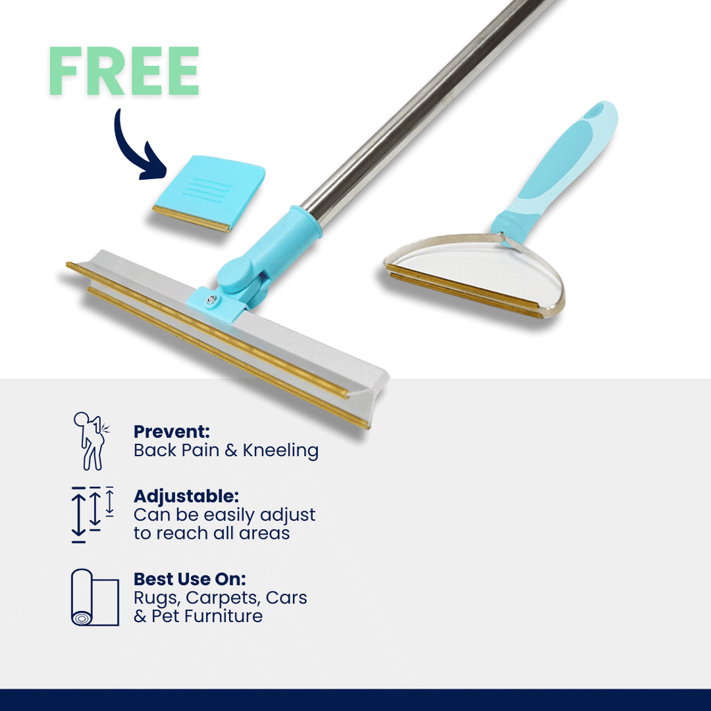 Homeclean Hair Today. Gone Tomorrow Bundle (Free Mini™)