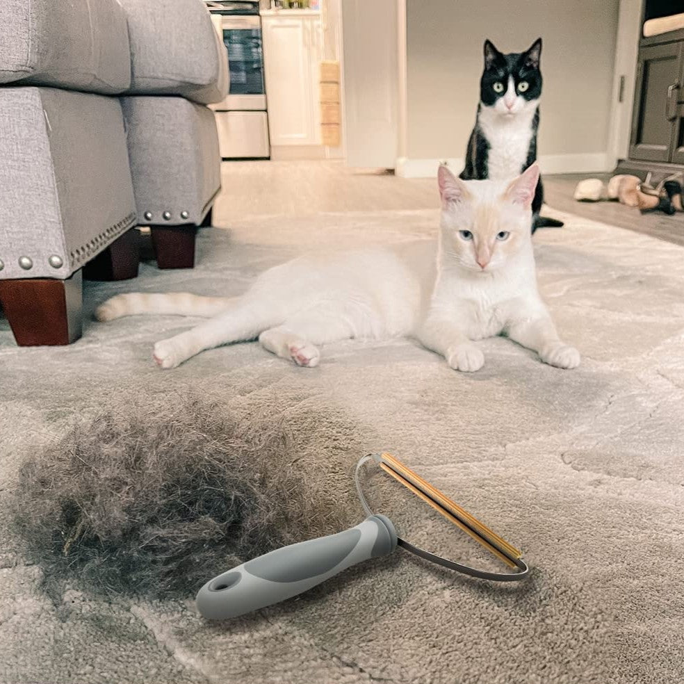 Homeclean Pet Hair Remover