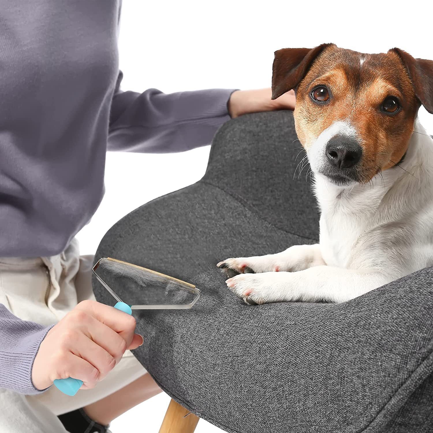 Homeclean Pet Hair Remover